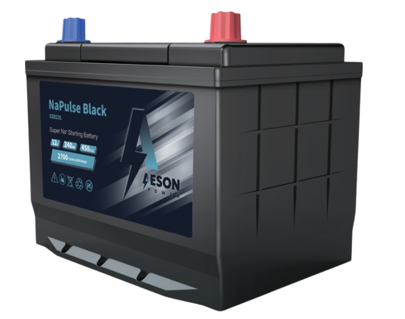 SODIUM ION BATTERY
