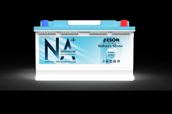 SODIUM ION BATTERY